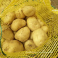 Golden Supplier of Fresh Potato From China